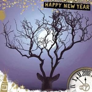 Meet your Posher, Cari